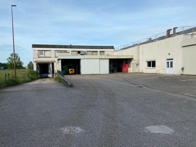 Local d'activité Moncel-lès-Lunéville 2500m² Vente local d'activité Moncel-lès-Lunéville Meurthe-et-Moselle OVACT2206019 1